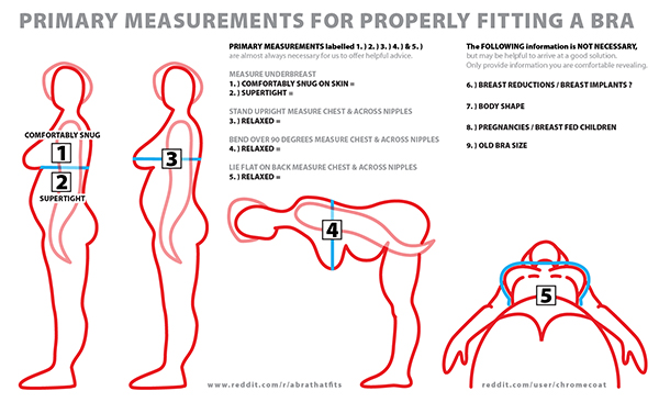 Sports bras measurements | DIETSiTRIED